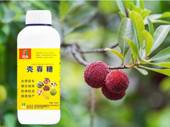殼寡糖以及在農(nóng)業(yè)上的應用