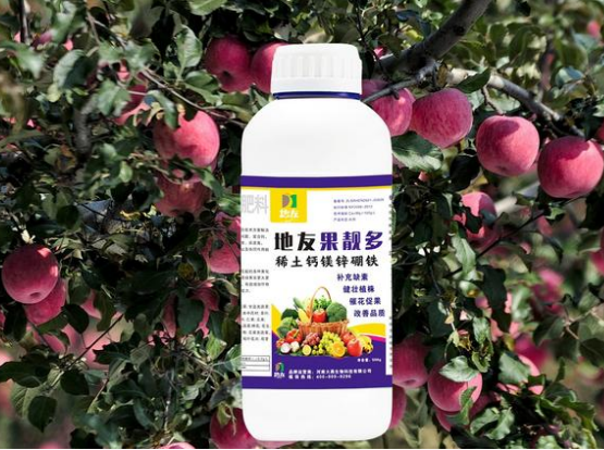 作物生長必需的營養(yǎng)元素及其關鍵作用探析