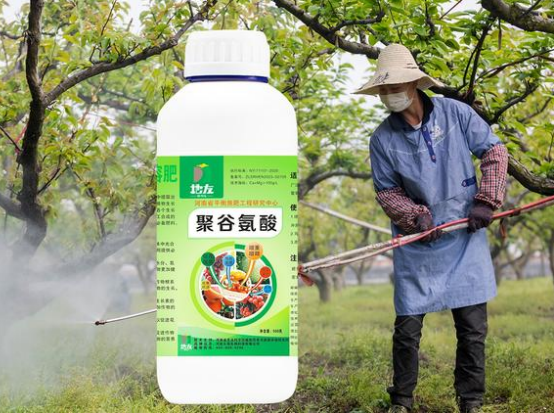 聚谷氨酸：多功能生物聚合物及其在農(nóng)業(yè)領域的應用