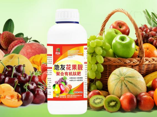 植物所需營養(yǎng)元素都有哪些