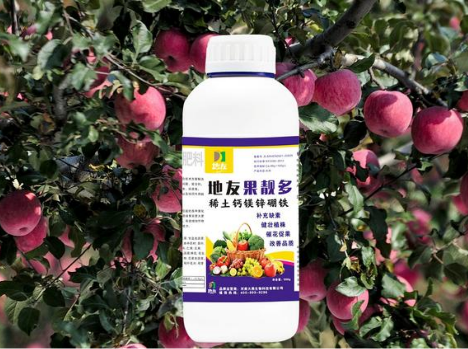 果蔬生長(zhǎng)周期中的營(yíng)養(yǎng)元素需求解析